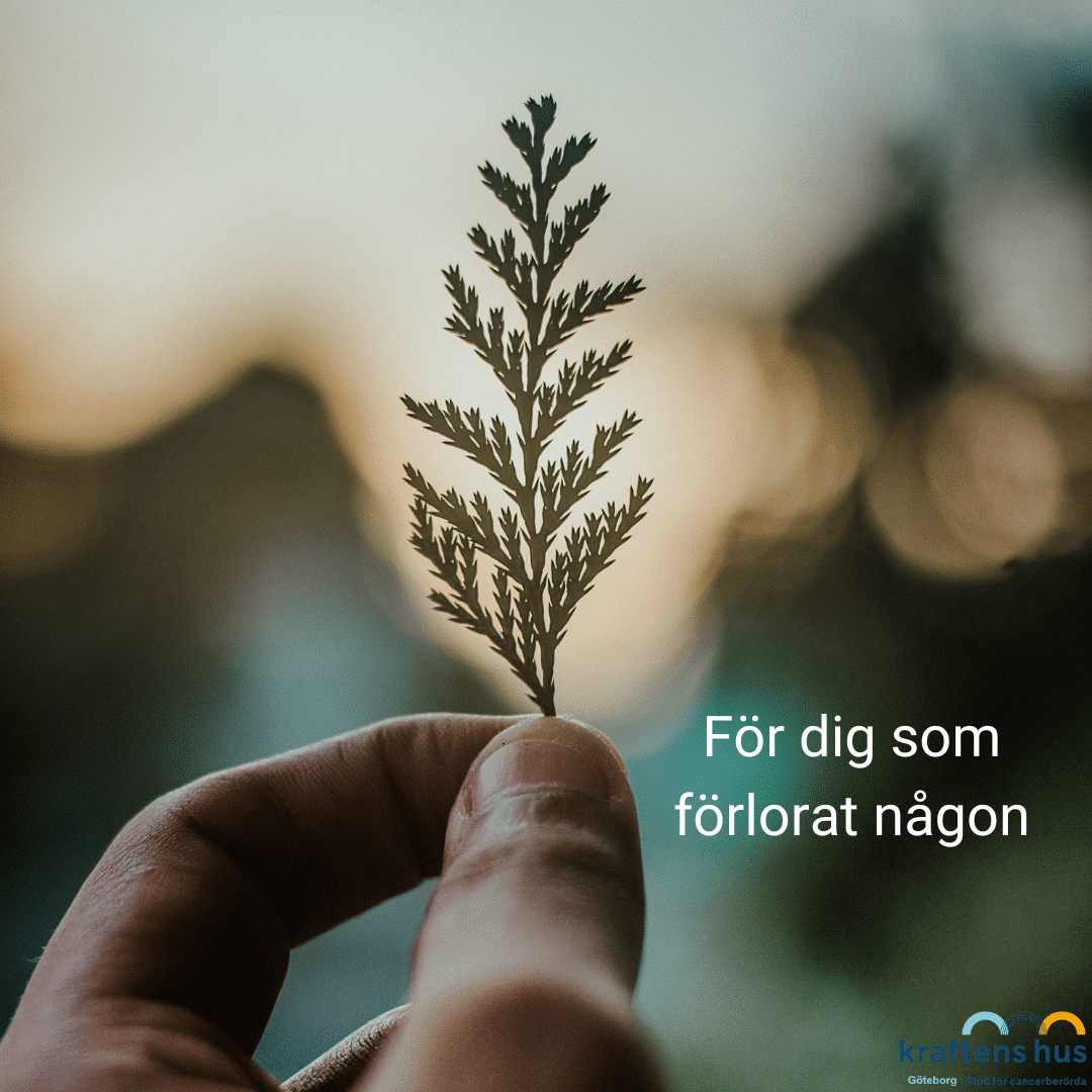 Två fingrar håller en liten växt. Bakgrunden är suddig. Bredvid står texten: För dig som förlorat någon