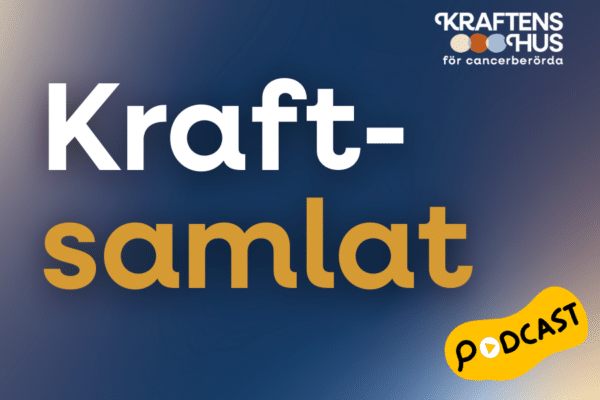 blue and brown steel bridge