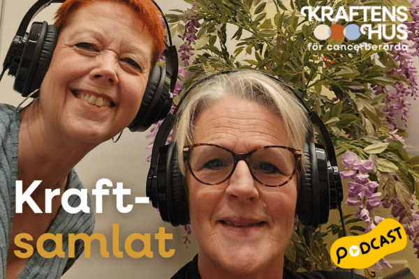 Kraftsamlat avsnitt 1