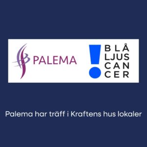 Bild för Palema håller träff i Kraftens hus lokaler