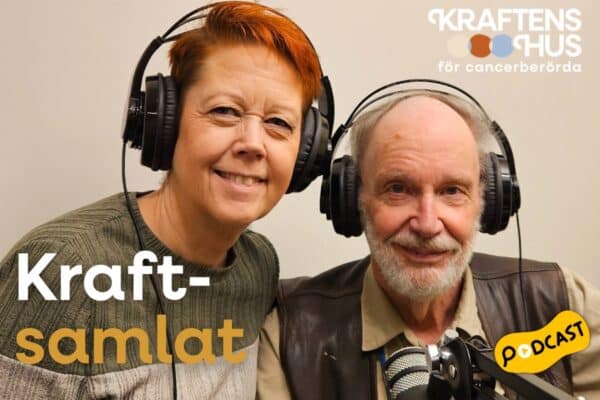 Bild för Introduktion till Kraftsamlat