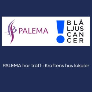 Bild för PALEMA håller träff i Kraftens hus lokaler
