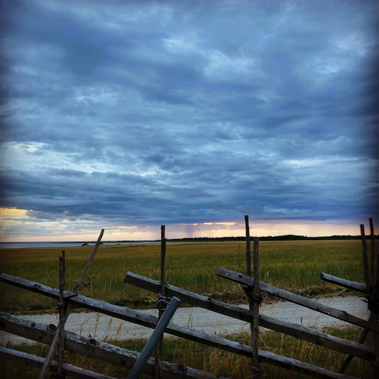 blue and brown steel bridge