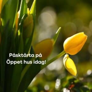 Bild för Påsktårta på Öppet hus idag!