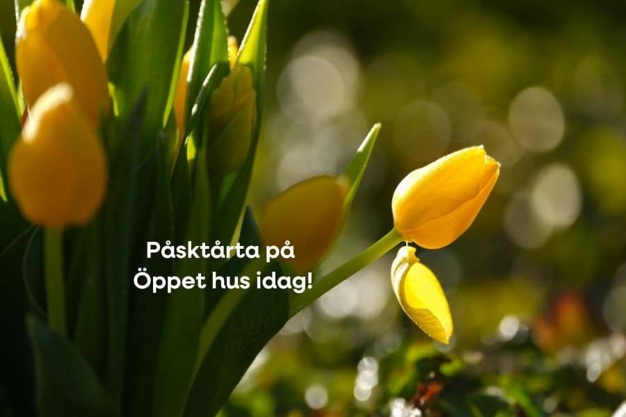 Bild för Påsktårta på Öppet hus idag!