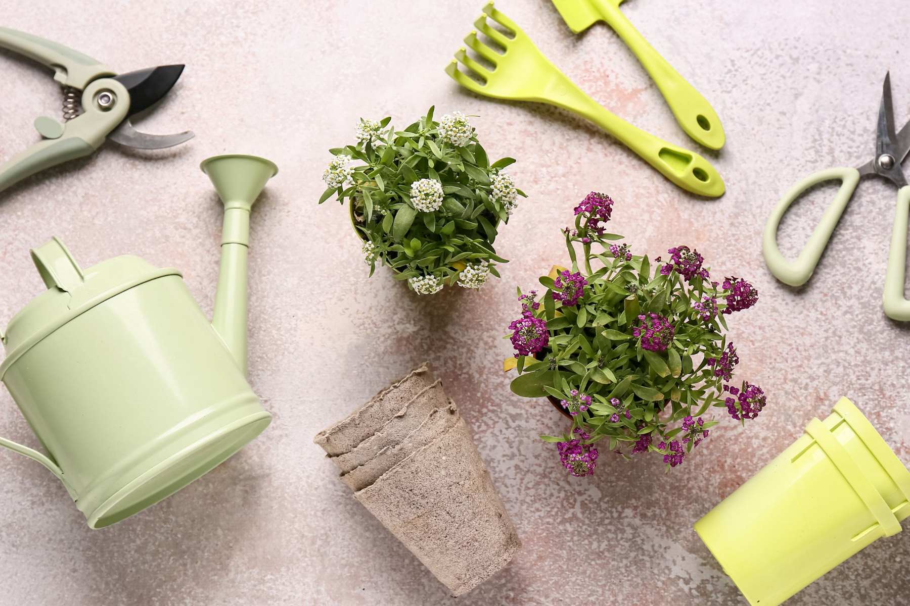 Bild för Påskarrangemang med Ingeborg