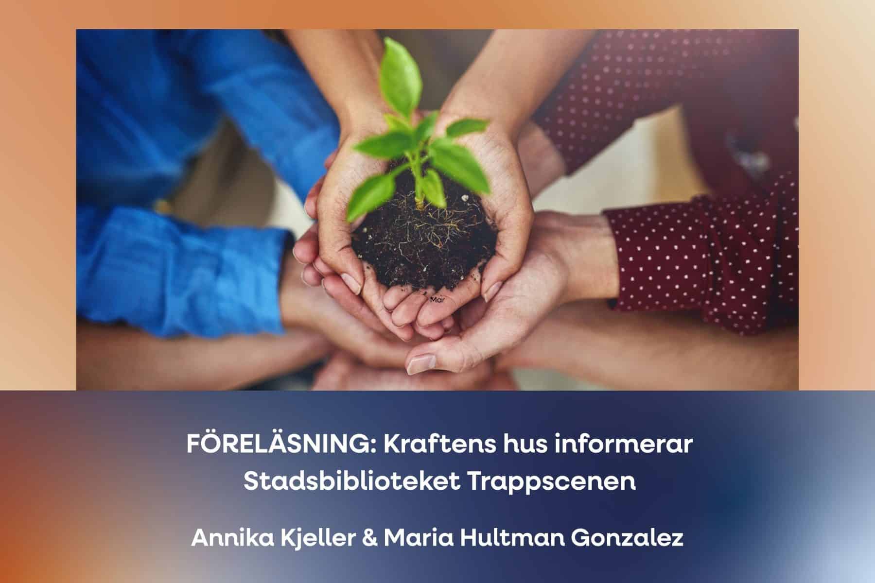 Bild för Föreläsning: Stadsbibliotetet Trappscenen – Hälsolots Centrum