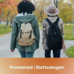 Bild för Promenera i Slottsskogen
