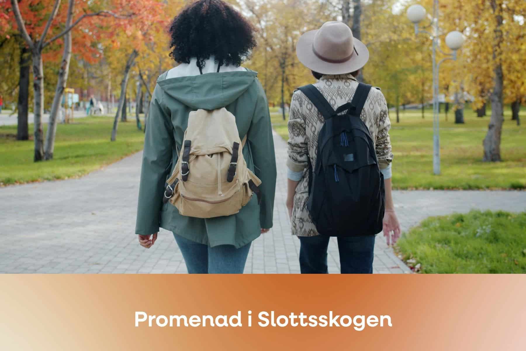 Bild för Promenera i Slottsskogen