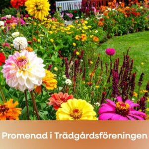 Bild för Promenera i Trädgårdsföreningen