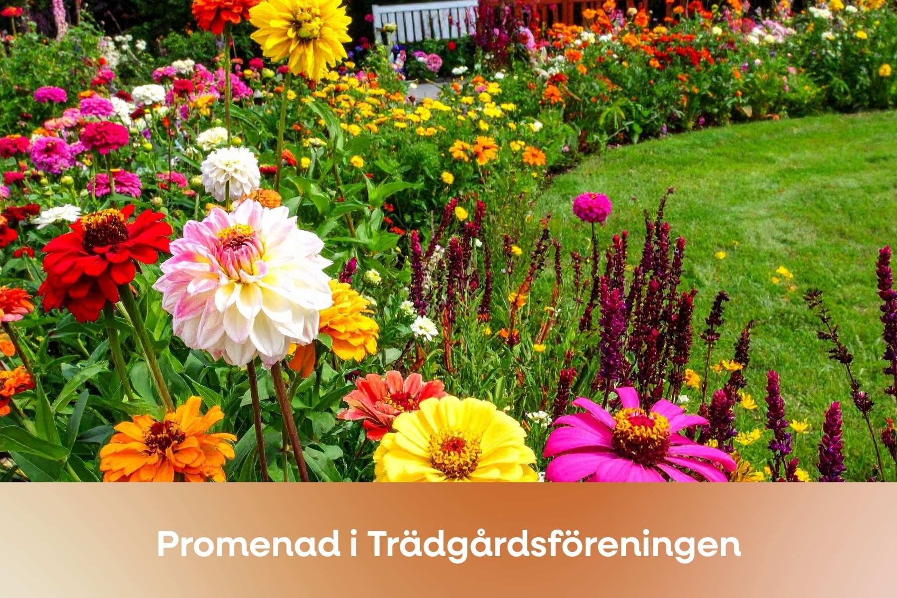 Bild för Promenera i Trädgårdsföreningen