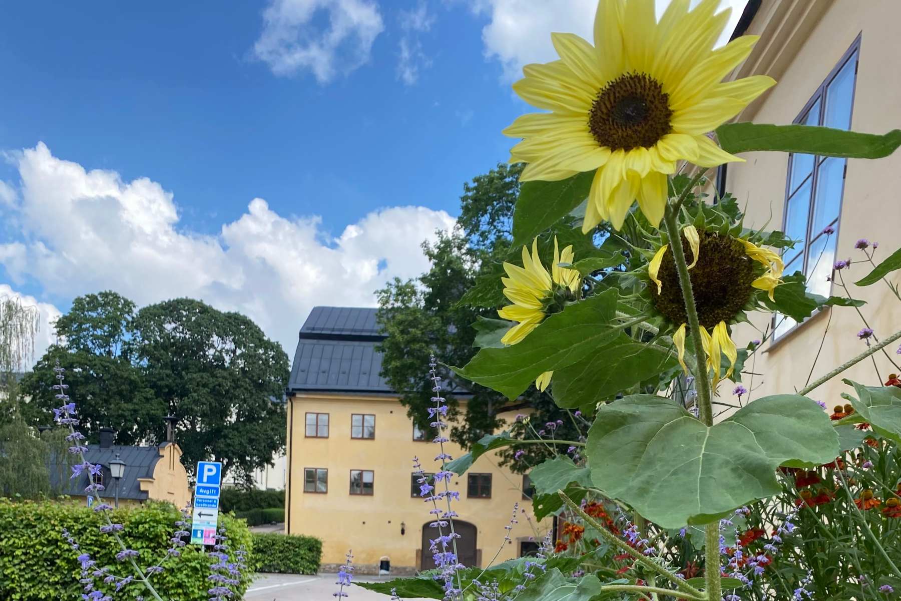 Bild för Gör Kraftens hus rätt saker? Vad tycker du? Workshop. Anmälan