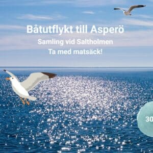 Bild för Båtutflykt till Asperö!