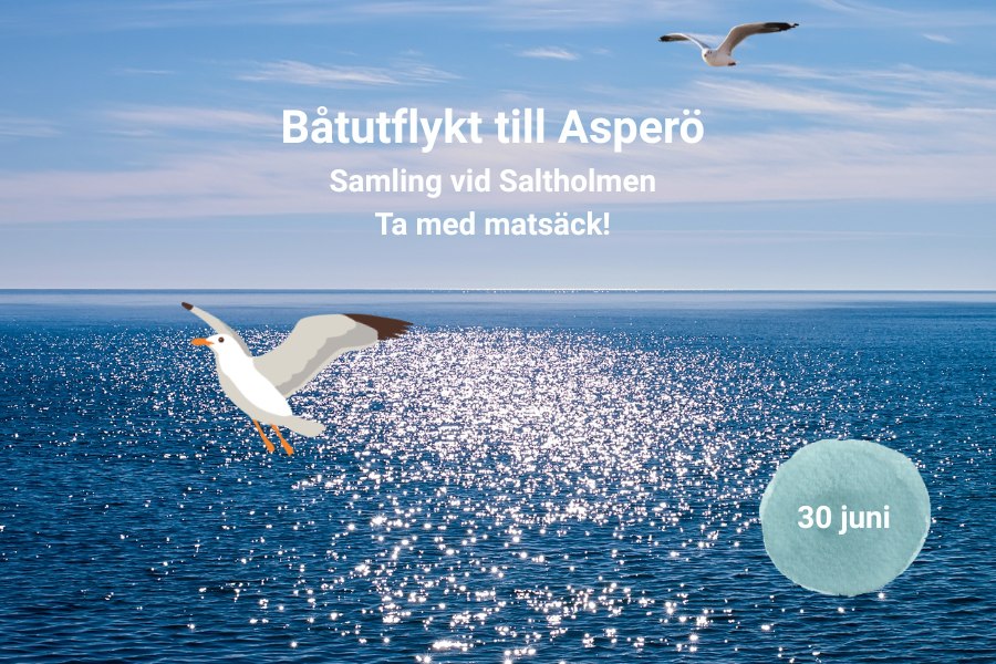 Bild för Båtutflykt till Asperö!