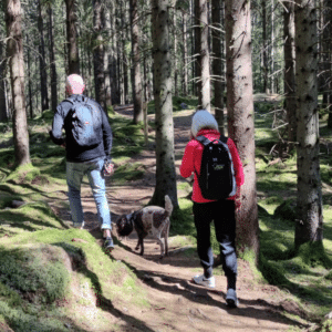 Promenera tillsammans med Kraftens hus