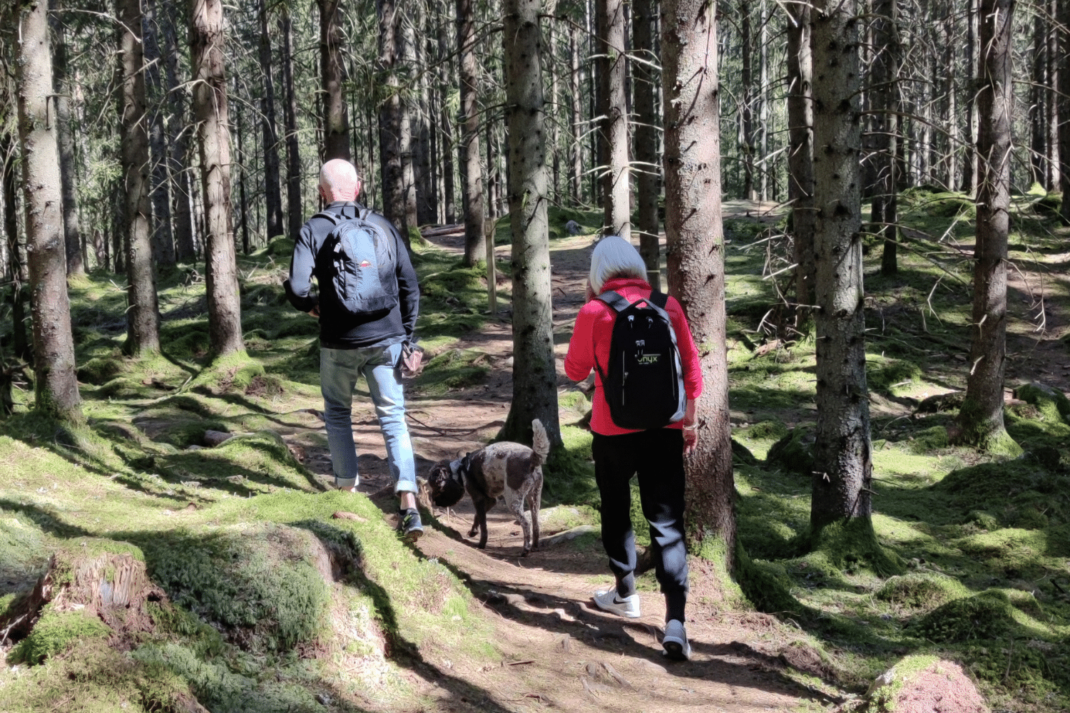 Promenera tillsammans med Kraftens hus
