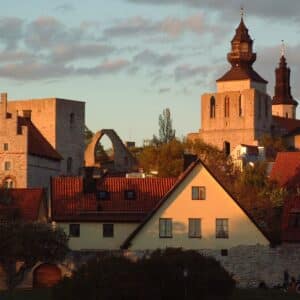 Bild för Kraftens hus i Almedalen: Vem tar ansvar för närstående?
