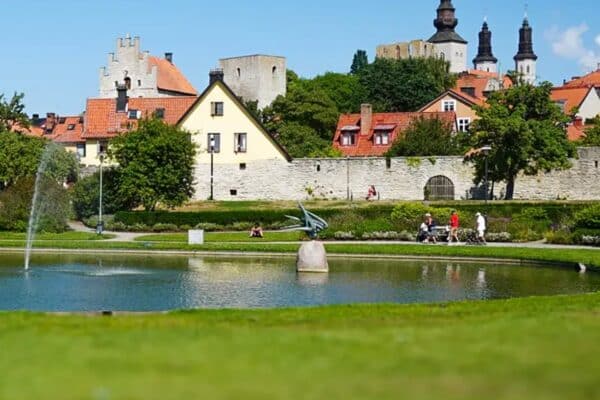 Bild för Kraftens hus i Almedalen: Vem tar ansvar för närstående?