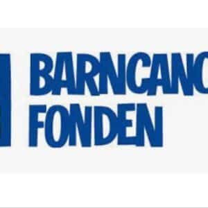 Bild för Julmiddag för vuxna som haft cancer som barn