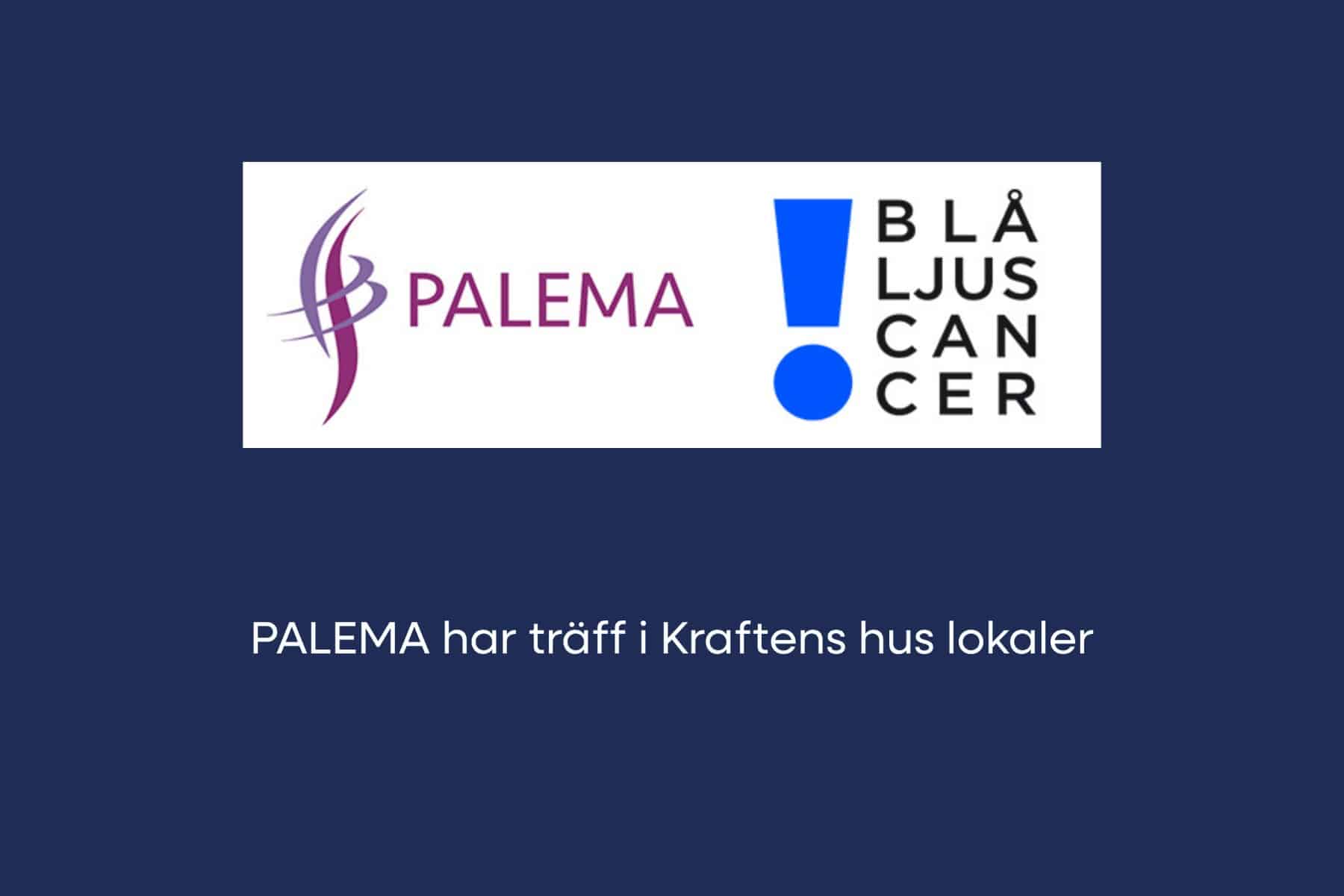 Bild för PALEMA håller träff i Kraftens hus lokaler