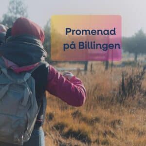 Bild för Fredagspromenad på Billingen
