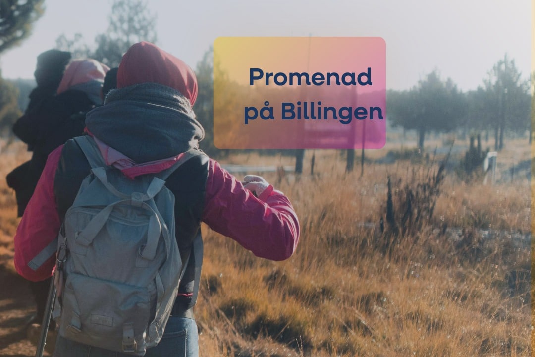 Bild för Fredagspromenad på Billingen